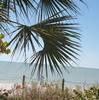 debbiehuff853
